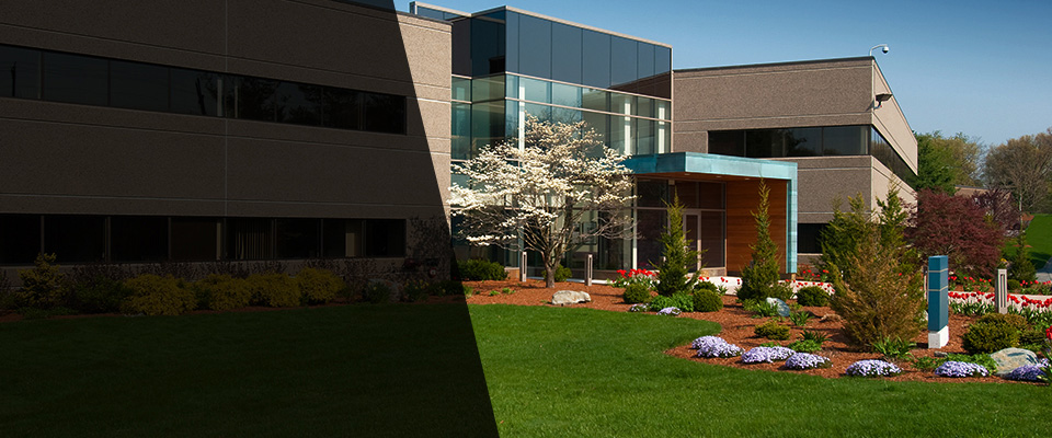 Gold Bar Landscapers