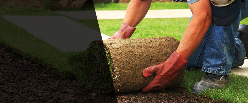 Gold Bar Landscapers